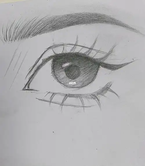 卡通了人物眼睛简笔画