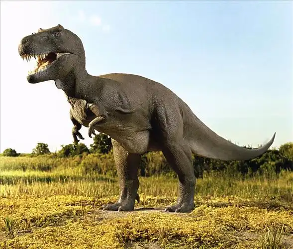 恐龙名字及图片大全(恐龙名字的由来) - 赤虎壹号