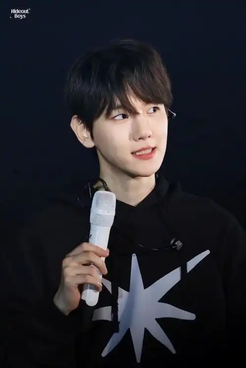 边伯贤演唱会##边伯贤