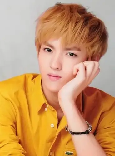 吴亦凡,吴亦凡图片,照片 decision的用法_大福影视剧情网