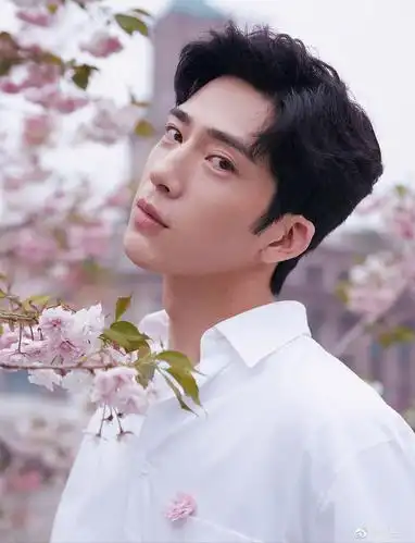井柏然的这组樱花大片怎么样