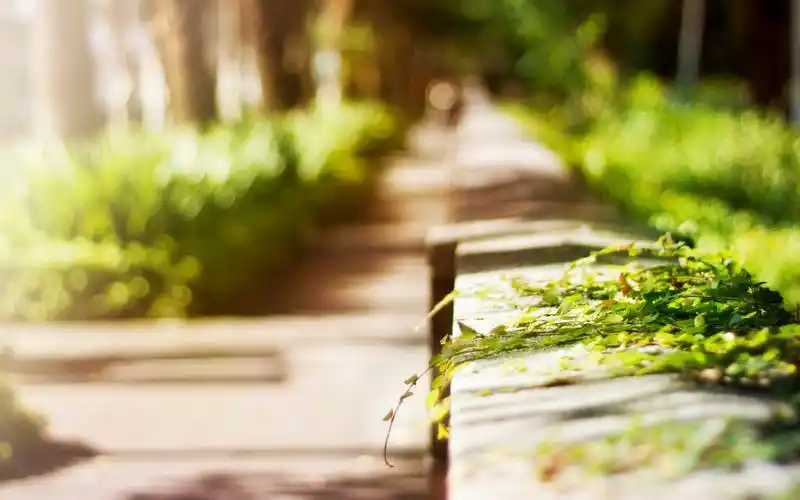 安静唯美风景图片桌面壁纸