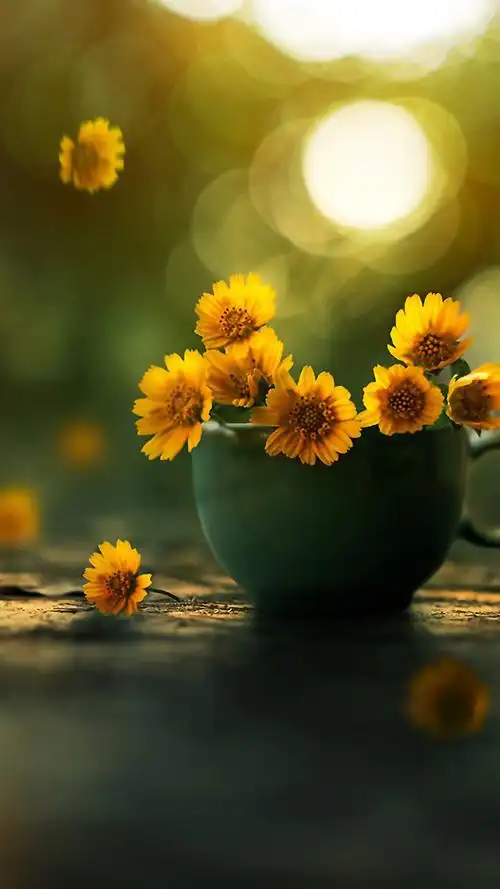 小清新治愈系花卉静物图片手机壁纸