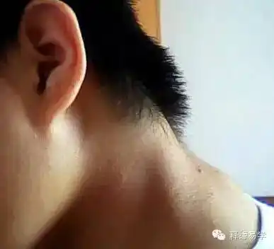 骨相学看看反骨到底长什么样