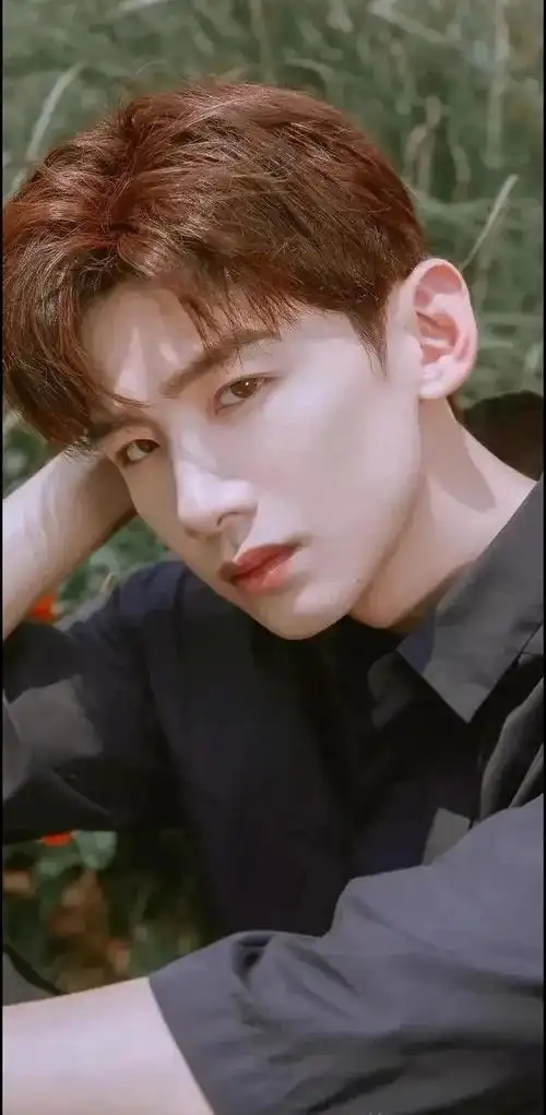 网友统计的娱乐圈最新男明星颜值排行榜__财经头条