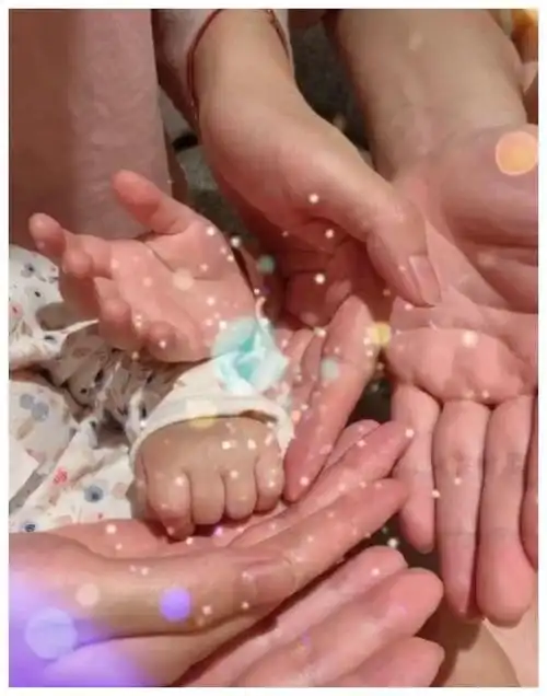 紧接着陈赫在17日晒出一家四口大手握小手合在一起,绽放出一朵花苞