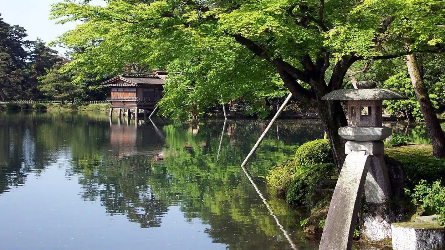 绿色花园风景图片高清宽屏桌面壁纸
