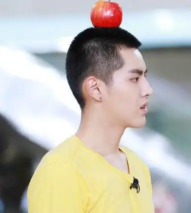 吴亦凡黑色圆寸短发发型