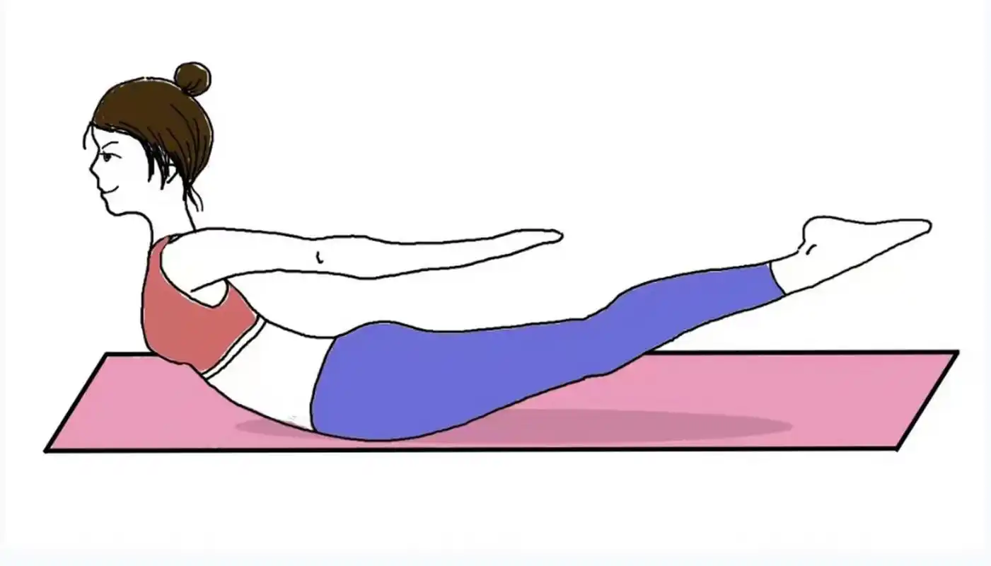 "小燕飞"主要锻炼的是腰背部伸展肌群,对于某些平时缺乏锻炼,腰背部