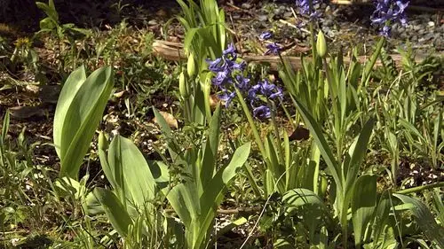 spring break 2020 – day 28