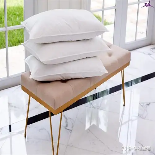 四,手洗枕芯的正确方法1,使用性质温和的洗衣粉进行洗涤;2,把枕芯放进