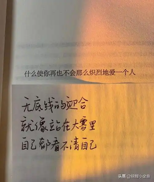 抖音很火的文案我以为我足够真诚就会被对得起