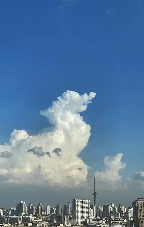 给大家看我们这刚刚的78漂亮云朵收集帖