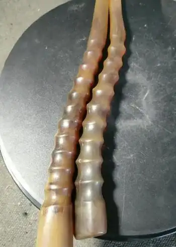 一对漂亮的藏羚羊角已经包浆了色泽鲜艳