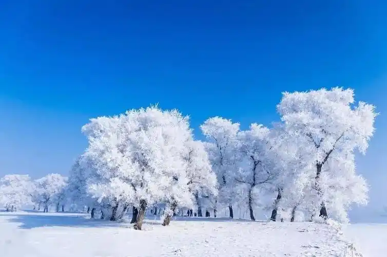 拥抱雪白的哈尔滨被私藏的绝美雪景这种深度玩法不留遗憾