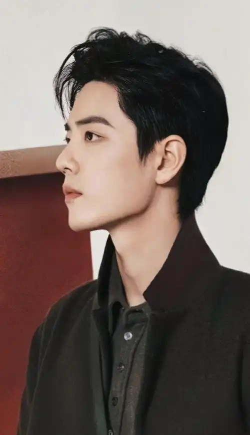 盛世美颜的侧颜杀901595 肖战一直走花路,一直火火火9797