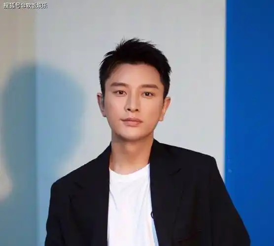 39岁贾乃亮成双11最大赢家!收入高达13.