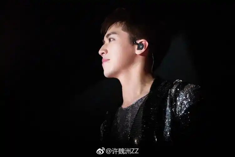 瑜洲 黄景瑜 许魏洲-堆糖,美好生活研究所