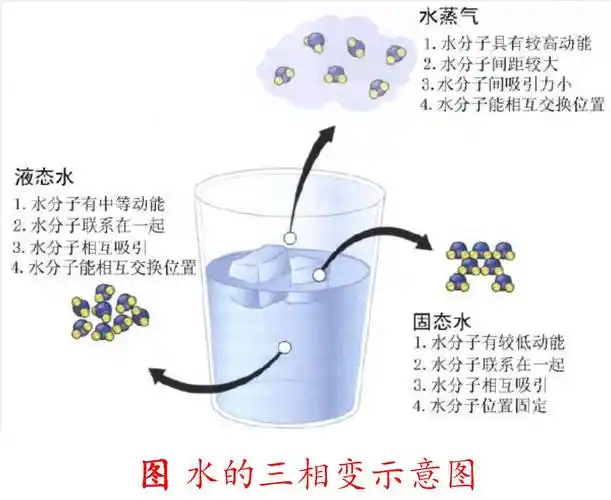 并在这3种物理形态中随外界环境尤其是温度的变化而转变,并且水在形态