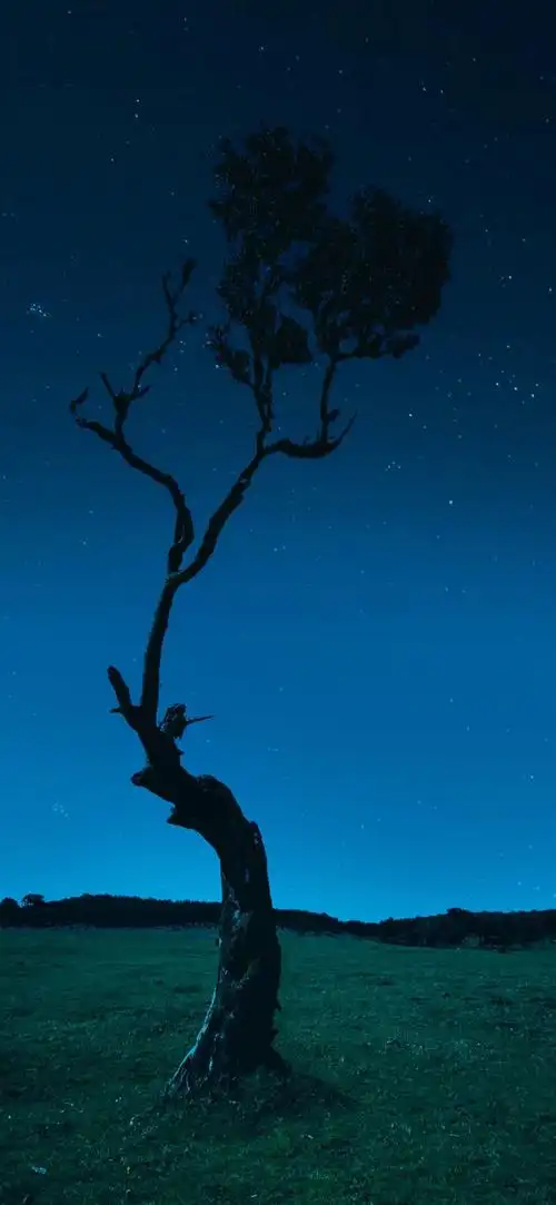 每日精选4k全屏壁纸09期