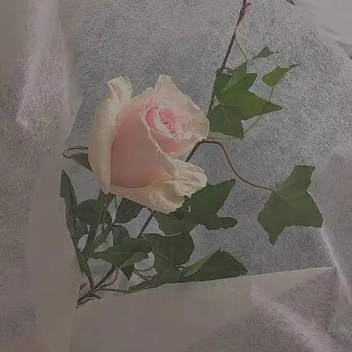 唯美文艺风格qq背景墙微信背景图 烦恼都是小事故