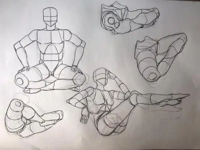 人体结构打卡#画画小菜鸟