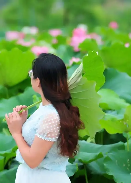 愿做如莲的女子,与你静守光阴的恬淡