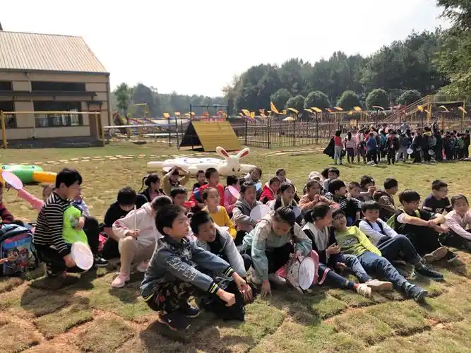 大路小学501班锦绣江南研学活动