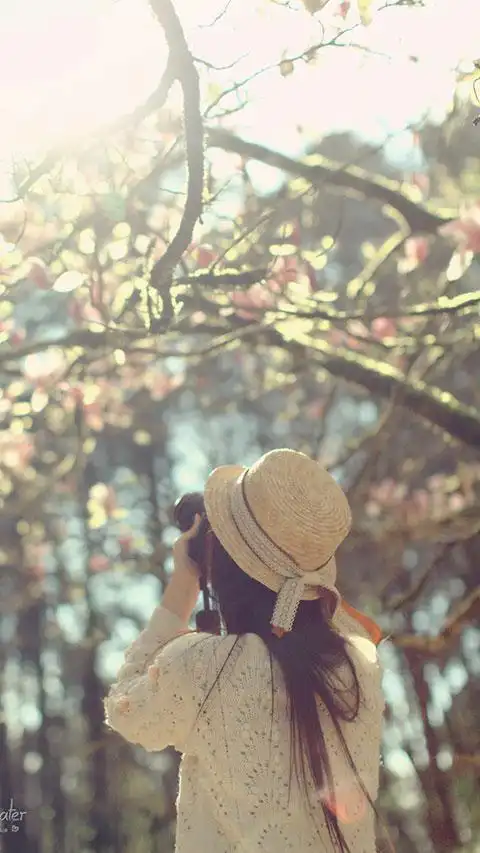 小清新背影的说