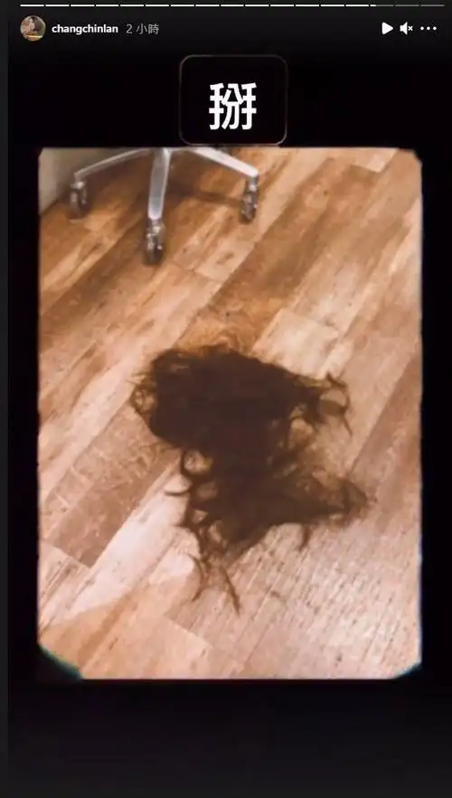 张景岚剪头发前没有通知经纪人.