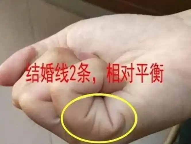 网上说握拳能看生孩子个数姐妹们有没有图解