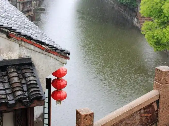 都说 雨中的江南最有味道我在蒙蒙细雨中彻底感受到江南水乡的神韵站
