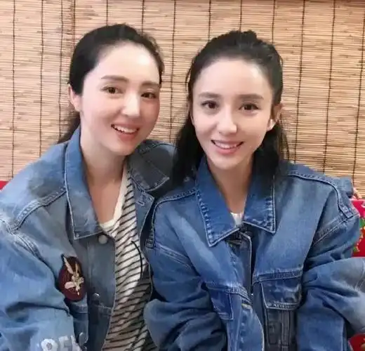 贾静雯和黄智雯对比照贾静雯和黄智雯怎么长得那么像