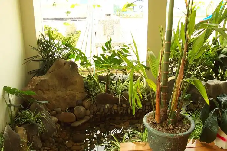 室内水景-园林小品案例-筑龙园林景观论坛