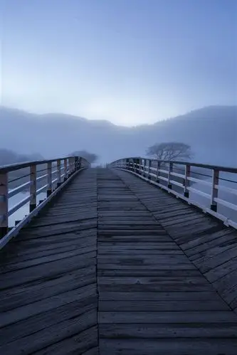 壁纸 木桥,雾,河,早晨 3840x2160 uhd 4k 高清壁纸, 图片, 照片