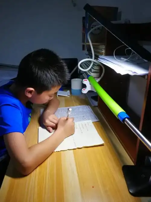 青春由磨砺而出彩 人生因奋斗而升华--博学30班李子昂组