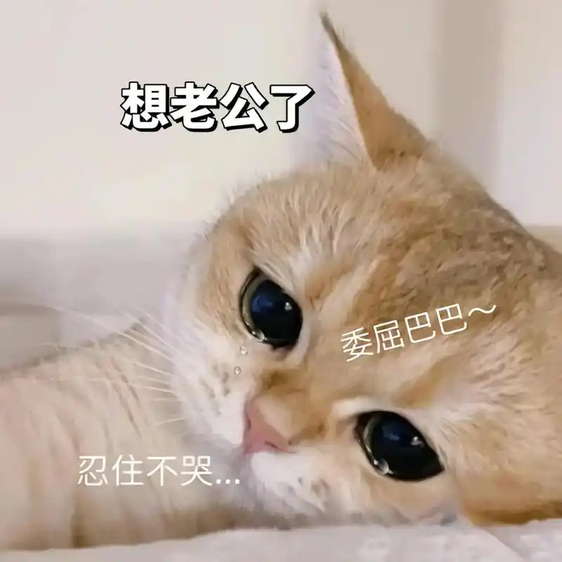 老公我想你了#我想你了你感觉到了吗 - 抖音