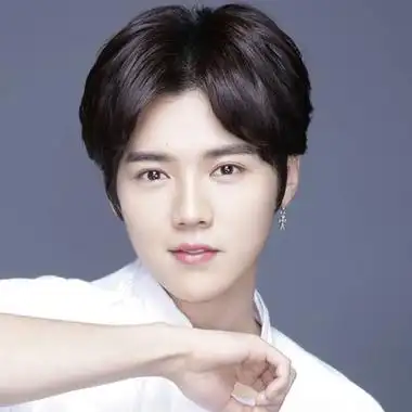 99人已购买鹿晗同款假发男生中分刘海韩版帅气学生短卷发逼真蓬松男士