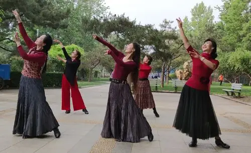 广场舞草原恋团队版歌曲好听舞步优美好看