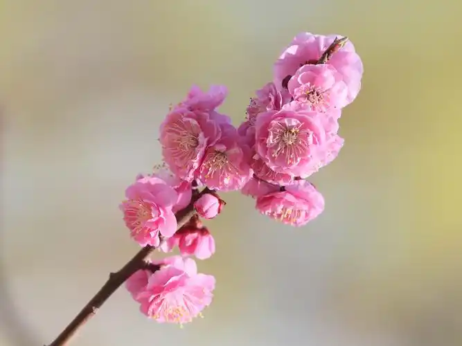 2019的足迹(第一季)摄影:隐形的翅膀