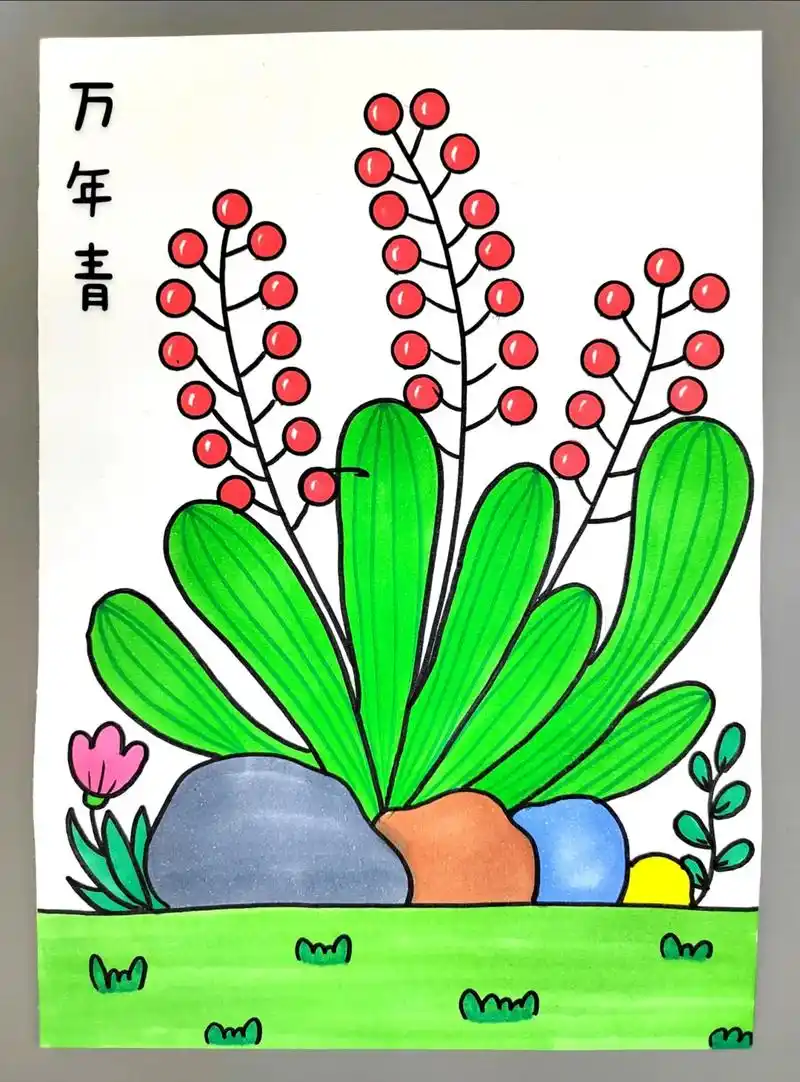 万年青创意画! 一起来画漂亮的万年青植物,简单好看,快来试试 - 抖音