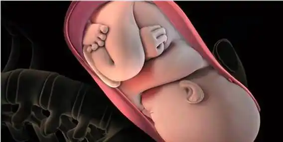 小腹下坠感明显 由于宝宝入盆后胎儿会逐渐的往下沉,这样对孕妈的下腹