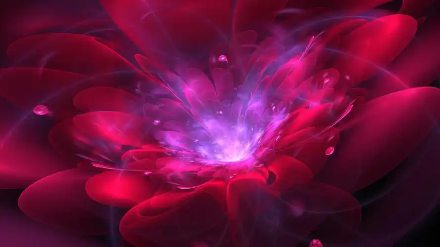 缤纷多彩红色花boogieblossom4k背景壁纸壁纸