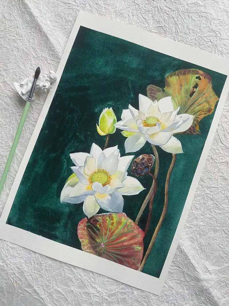 水彩荷花8k90 #零基础学画画 - 抖音