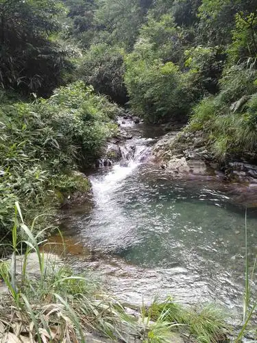 确认过眼神,我爱上小河村