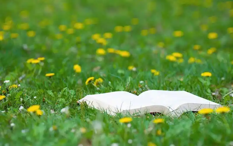 首页 桌面壁纸 风格壁纸 清新文艺书本图片高清壁纸上一张 下一张