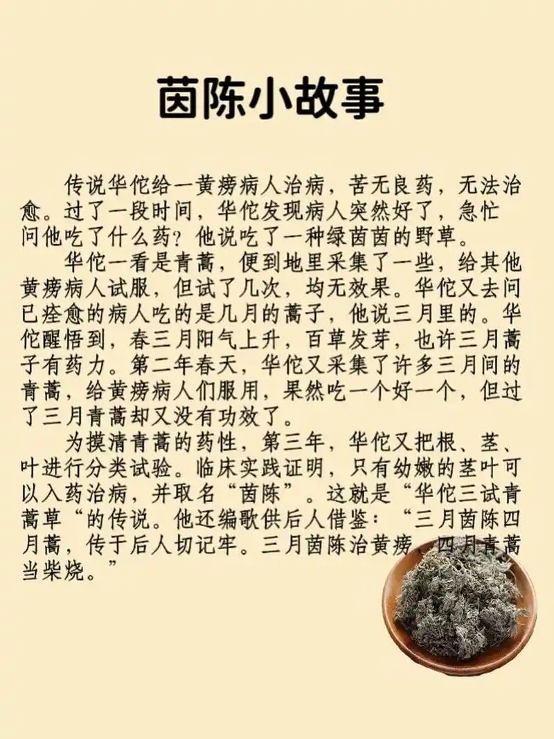 每天认识一味药--茵陈 7515功效与作用 茵陈是一种中药材,药性苦