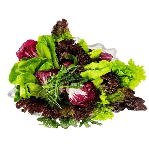 顺丰新鲜沙拉蔬菜组合混合沙拉菜都市健康轻食蔬菜新鲜当季蔬菜精品