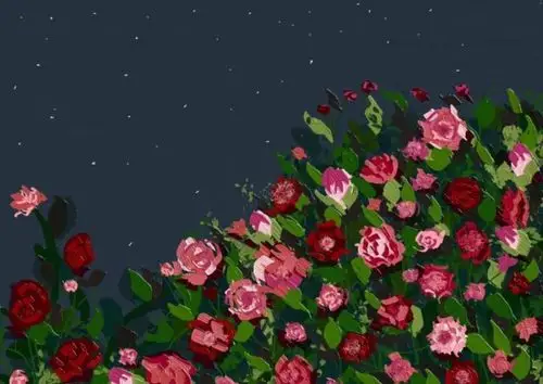 ins风 - 堆糖,美图壁纸兴趣社区