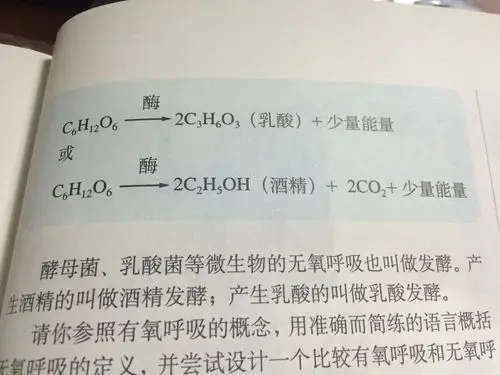 高中生物,乳酸菌无氧呼吸总反应式,如图,乳酸用加括号文字表明吗(书上